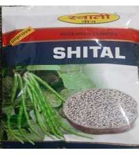 Cowpea / Choli Swati-Shital
